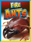 Fire Ants By Megan Cooley Peterson Cover Image