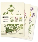 Royal Botanic Garden Edinburgh Set of 3 Midi Notebooks (Midi Notebook Collections) By Flame Tree Studio (Created by) Cover Image