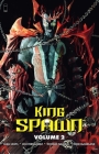 King Spawn, Volume 2 By Todd McFarlane, Sean Lewis, Javi Fernandez (Artist) Cover Image