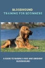 Bloodhound Training For Beginners: A Guide To Raising A Nice And Obedient Bloodhound: Bloodhound Training System By Sergio Morace Cover Image