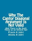 Why The Cantor Diagonal Argument is Not Valid: and there is no such thing as an infinite set By Alisha a. Johri, Pravin K. Johri Cover Image