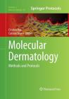 Molecular Dermatology: Methods and Protocols (Methods in Molecular Biology #961) By Cristina Has (Editor), Cassian Sitaru (Editor) Cover Image