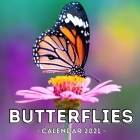 Butterflies Calendar 2021: 16-Month Calendar, Cute Gift Idea For Butterfly Lovers Women & Men By Charming Potato Press Cover Image