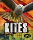 Kites: Birds of Prey By Nathan Sommer Cover Image