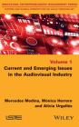 Current and Emerging Issues in the Audiovisual Industry By Mercedes Medina, Mónica Herrero, Alicia Urgellés Cover Image