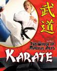 Karate (World of Martial Arts) By Jim Ollhoff Cover Image