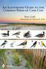 An Illustrated Guide to the Common Birds of Cape Cod By Peter Trull Cover Image