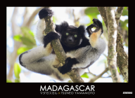 Madagascar By Tsuneo Yamamoto Cover Image