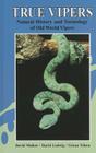 True Vipers: Natural History and Toxinology of Old World Vipers By David Mallow Cover Image