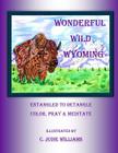 Wonderful Wild Wyoming: Entangled to Detangled: Color, Pray & Meditate By C. Judie Williams Cover Image