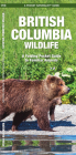 British Columbia Wildlife: A Folding Pocket Guide to Familiar Animals (Pocket Naturalist Guide) By James Kavanagh, Waterford Press, Raymond Leung (Illustrator) Cover Image