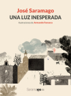 Una luz inesperada / An Unexpected Light By José Saramago, Armando Fonseca (Illustrator) Cover Image