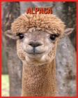 Alpaca: Learn About Alpaca and Enjoy Colorful Pictures By Mindy Alvarrao Cover Image