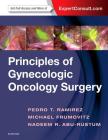 Principles of Gynecologic Oncology Surgery Cover Image