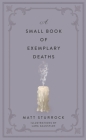 A Small Book of Exemplary Deaths By Matt Sturrock, Lara Galustian (Illustrator) Cover Image