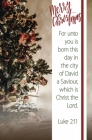 Merry Christmas Unto Us a Child Bulletin (Pkg 100) Christmas By Broadman Church Supplies Staff (Contribution by) Cover Image