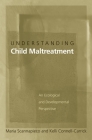 Understanding Child Maltreatment: An Ecological and Developmental Perspective Cover Image