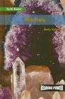 Minerals (Earth Rocks!) By Holly Cefrey Cover Image