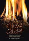 A Fire of Straw in Bureau County: The Forgotten Utopian Dream of Lamoille's Rosemont Domain By Robert J. Glaser Cover Image