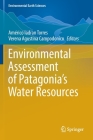 Environmental Assessment of Patagonia's Water Resources (Environmental Earth Sciences) By Américo Iadran Torres (Editor), Verena Agustina Campodonico (Editor) Cover Image