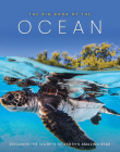 The Big Book of the Ocean: Discover the secrets of the earth's amazing seas Cover Image