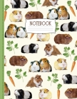 Guinea Pig Notebook: Sketch and Write By Dajil Fine Art Publishing Cover Image