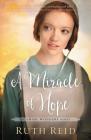 A Miracle of Hope (Amish Wonders #1) By Ruth Reid Cover Image
