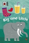 Early Learning: Big and Little By Ladybird Cover Image