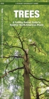 Trees: An Introduction to Familiar North American Species By James Kavanagh, Leung Raymond (Illustrator) Cover Image