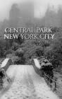 Central park Bridge New York City snow Winter Blank Journal $ir Michael Huhn designer edition Cover Image