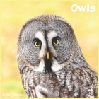 Owls Calendar 2022: Official Owls Birds 2022 Calendar, 16 Month By Monthly Calendars 2022 Cover Image
