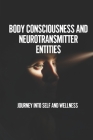 Body Consciousness And Neurotransmitter Entities: Journey Into Self And Wellness: The Web Of Time And Space By Guillermina Holub Cover Image