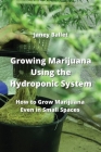 Growing Marijuana Using the Hydroponic System: How to Grow Marijuana Even in Small Spaces Cover Image