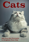 Cats: 500 Purr-Fect Portraits to Brighten Your Day By Michelle Perkins Cover Image