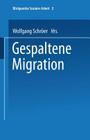 Gespaltene Migration (Blickpunkte Sozialer Arbeit #3) By Wolfgang Schröer (Editor), Stephan Sting (Editor) Cover Image
