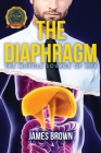 The Diaphragm: The Muscle Source of Life By James Brown Cover Image