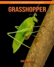 Grasshopper: Fun Facts Book for Children By Sue Porter Cover Image