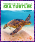 Sea Turtles By Mari C. Schuh, N/A (Illustrator) Cover Image