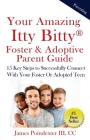 Your Amazing Itty Bitty Foster & Adoptive Parent Guide: 15 Key Steps to Successfully Connect With Your Foster Or Adopted Teen Cover Image