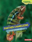 Panther Chameleons: Color-Changing Reptiles (Comparing Animal Traits) By Rebecca E. Hirsch Cover Image