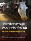 Enterohemorrhagic Escherichia Coli and Other Shiga Toxin-Producing E. Coli By Vanessa Sperandio (Editor), Carolyn Hovde Bohach (Editor) Cover Image