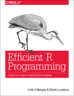 Efficient R Programming: A Practical Guide to Smarter Programming Cover Image