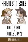 Friends in Exile: Italo Svevo & James Joyce (Troubador Italian Studies #36) By Brian Moloney Cover Image