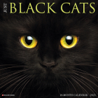 Just Black Cats 2021 Wall Calendar Cover Image