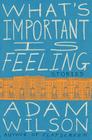 What's Important Is Feeling: Stories Cover Image