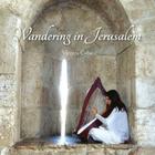 Wandering in Jerusalem By Vicenta Cobo Heras (Photographer), Vicenta Cobo Heras Cover Image