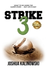 Strike 3: What To Do When The Game's Over But Life Is Not Cover Image