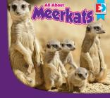 All about Meerkats (Eyediscover) By Piper Whelan Cover Image