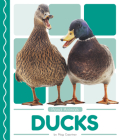 Ducks By Meg Gaertner Cover Image
