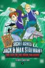 Secret Agents Jack and Max Stalwart: Book 3: The Fate of the Irish Treasure: Ireland (The Secret Agents Jack and Max Stalwart Series #3) Cover Image